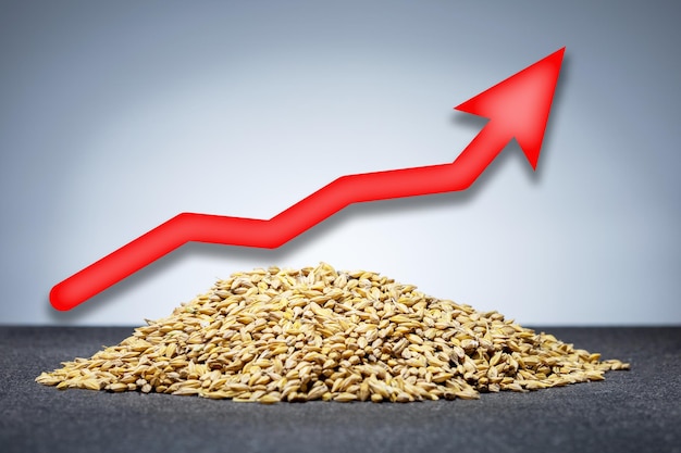 Conceito de exportação ou importação de trigo Pilha de trigo e seta vermelha Aumento dos preços do trigo na Europa ou no mundo