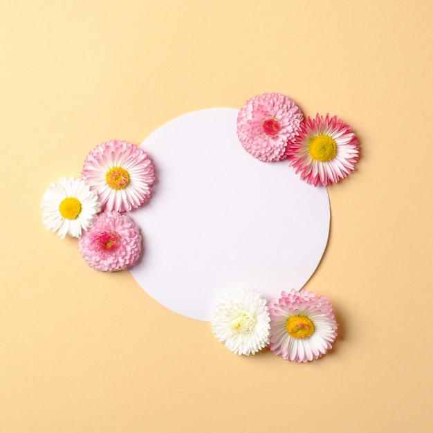 Conceito de férias de primavera. Layout criativo feito de flores coloridas e cartão de papel em forma de círculo em branco em pastel