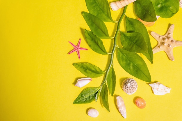 Conceito de férias de verão. Diversos conchas, ramos de folhas verdes frescas em um fundo amarelo brilhante. Uma luz forte moderna, sombra escura, camada plana, vista de cima