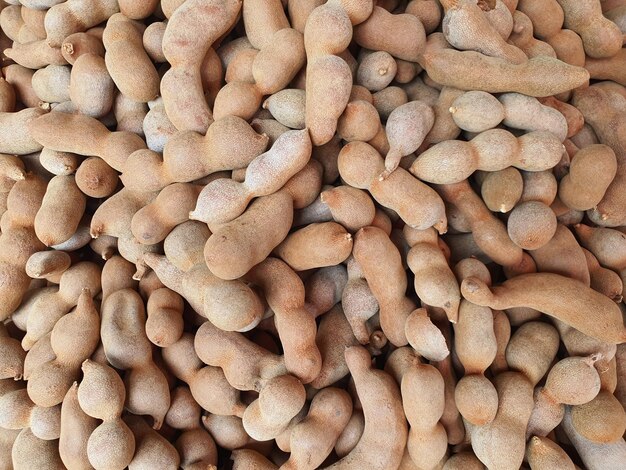 Conceito de fruta de tamarindo