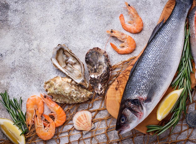 Conceito de frutos do mar. Peixe, camarão e ostras.