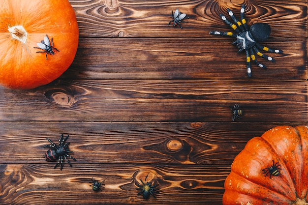 Conceito de Halloween com abóbora fresca e close-up de aranhas em cima da mesa. Visão horizontal de cima