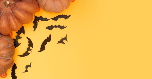 Conceito de Halloween com abóboras e morcegos isolados