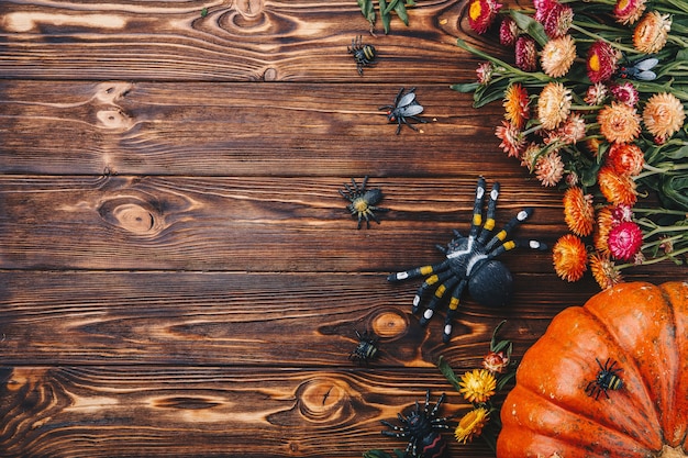 Conceito de Halloween com abóboras frescas, aranhas e insetos com flores. Trick or Treat vista de cima