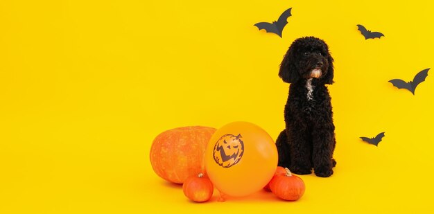 Conceito de Halloween Dog e acessórios de Halloween em fundo amarelo