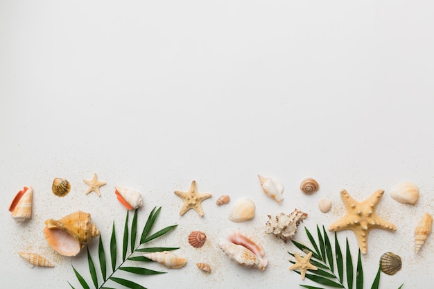 Conceito de horário de verão Composição plana leiga com belas estrelas do mar e conchas do mar na vista de mesa colorida com espaço de cópia para texto