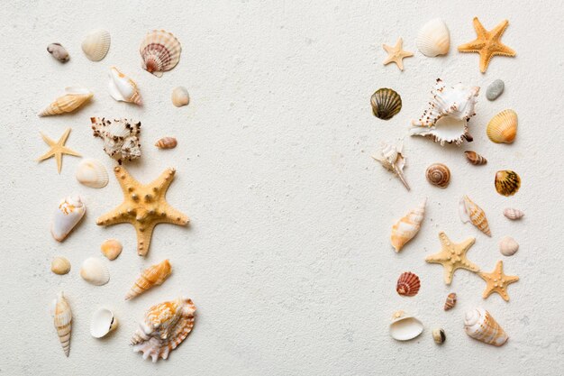 Conceito de horário de verão Composição plana leiga com belas estrelas do mar e conchas do mar na vista de mesa colorida com espaço de cópia para texto