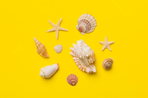 Conceito de horário de verão Composição plana leiga com belas estrelas do mar e conchas do mar na vista de mesa colorida