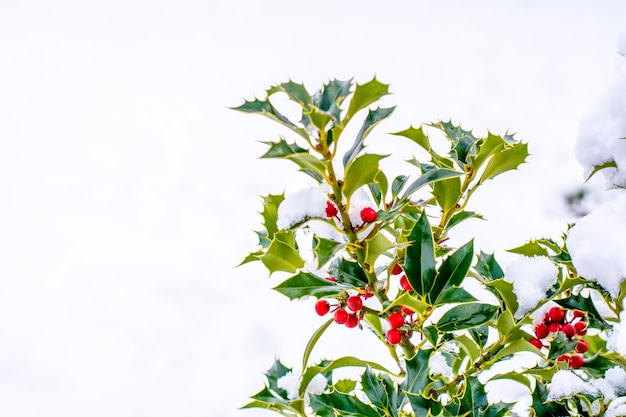 Conceito de inverno e natal com espaço de cópia