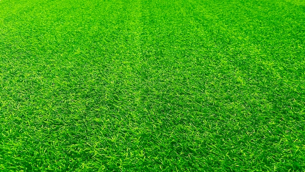 Conceito de jardim de grama de fundo de textura de grama verde usado para fazer campo de futebol de fundo verde