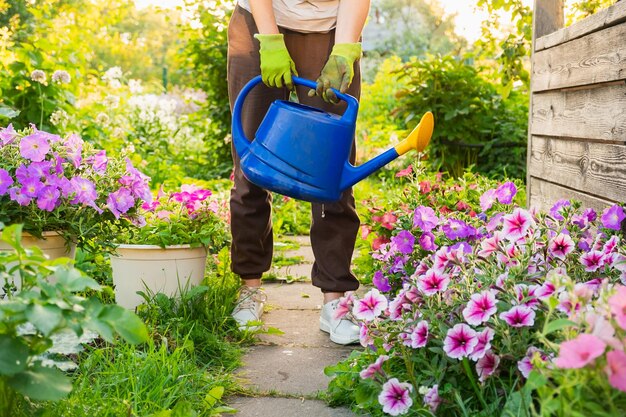 Conceito de jardinagem agricultura jardineiro mãos segurando regar pode regar planta de irrigação