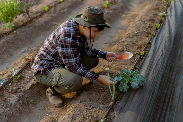 Conceito de jardinagem: um jovem jardineiro do sexo masculino cuidando de um vegetal, removendo o solo ao redor da planta com uma pá.