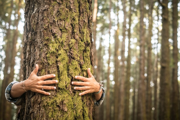 Conceito de meio ambiente e respeito pela natureza da Terra