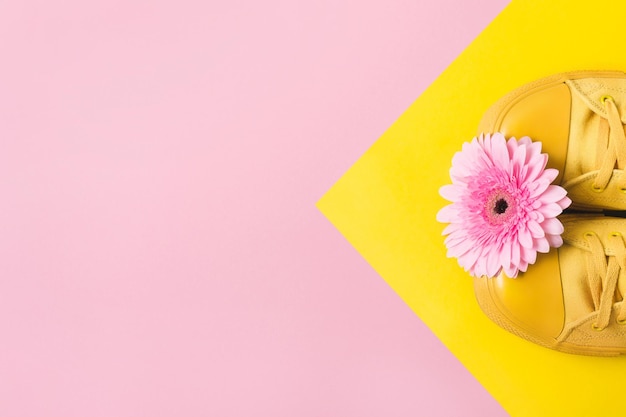 Conceito de moda primavera verão. Tênis amarelo e flor gerbera em fundo geométrico pastel.