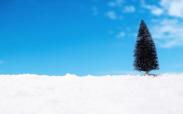 Conceito de Natal. Decoração de Natal, Cone de pinho na neve com fundo do céu. Foco suave, luz lenta (foco seletivo).