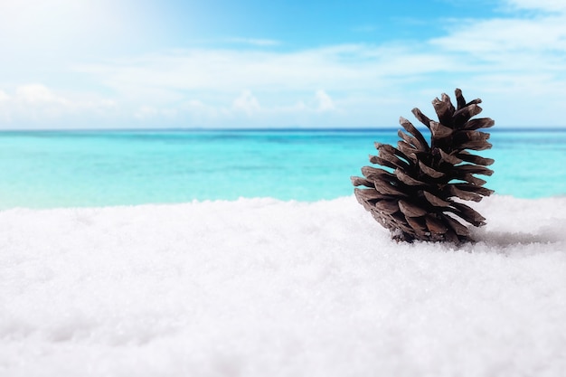 Conceito de Natal. Decoração de Natal, Cone de pinho na neve com fundo do céu. Foco suave, luz lenta (foco seletivo).