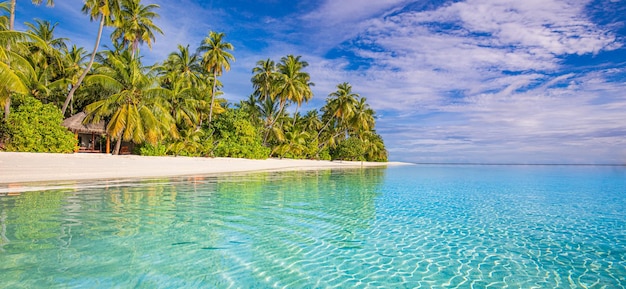 Conceito de natureza de praia. Palm beach lagoa céu ensolarado tropical ilha paradisíaca idílica. Paisagem exótica