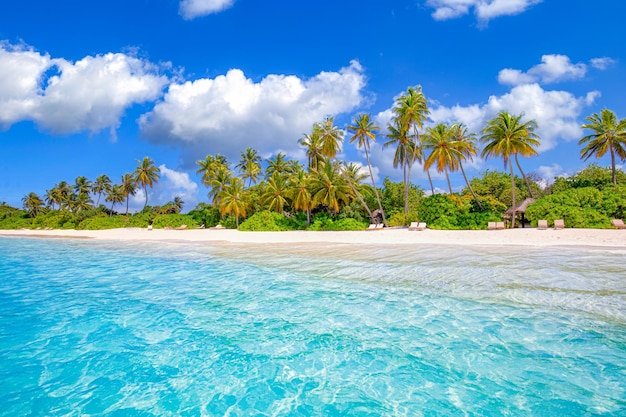 Conceito de natureza de praia. Palm Beach na ilha paradisíaca tropical. Férias de paisagem exótica