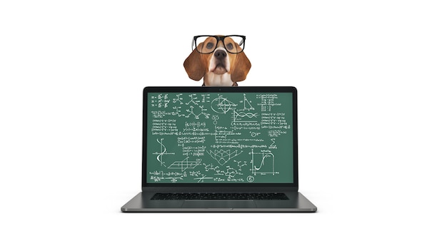 Conceito de negócio cão de estimação usando laptop renderização em 3d