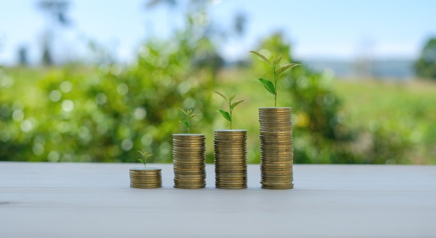 Foto conceito de negócios e finanças economize dinheiro para se preparar no futuro árvores crescendo em moedas feche-se empilhando moedas com fundo bokeh verde