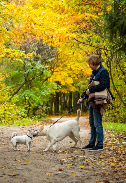 Conceito de pessoas e animais de estimação da família homem feliz com cachorro labrador retriever andando no parque da cidade com um cachorrinho