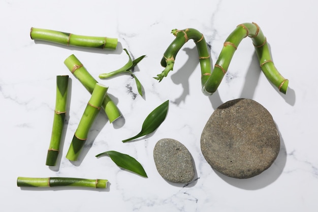 Conceito de planta de bambu em plano de fundo texturizado branco