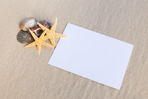 Foto conceito de praia de férias com conchas seastars e um cartão postal em branco