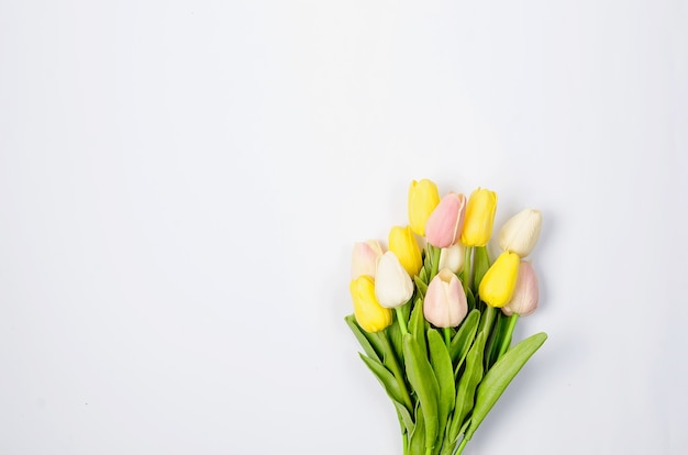 Conceito de primavera ou feriado, um buquê de tulipas em branco