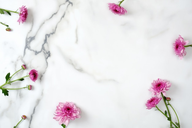 Foto conceito de quadro de flor. a margarida cor-de-rosa floresce a cabeça dispersada no fundo de mármore.