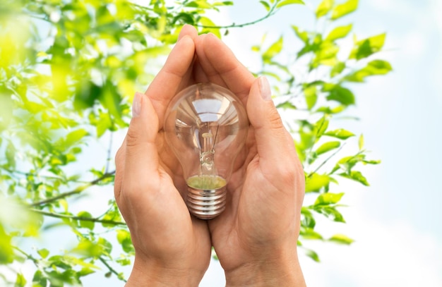 Foto conceito de reciclagem, eletricidade, meio ambiente e ecologia - close-up de mãos segurando lâmpada ou lâmpada incandescente sobre fundo verde natural