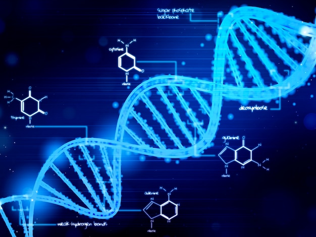 Conceito de representação do DNA