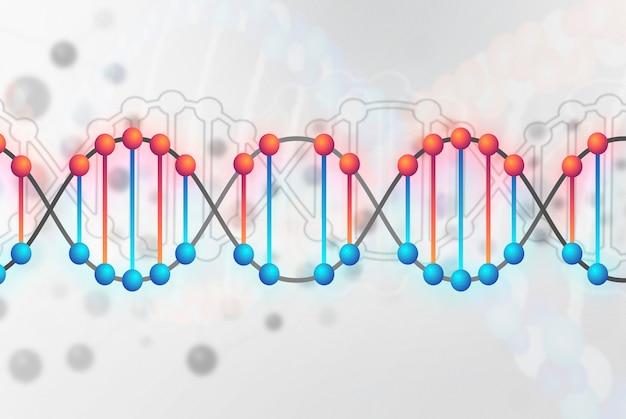 Conceito de representação do DNA