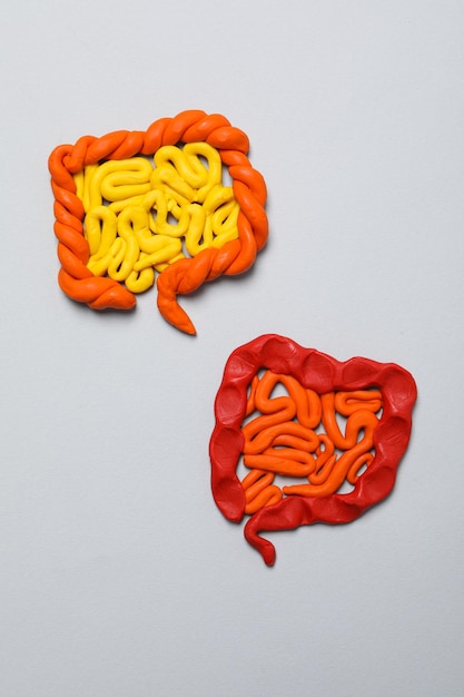 Conceito de saúde estomacal e problemas intestinais