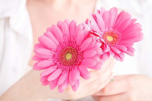 Conceito de saúde feminina, mão segure gerbera floower rosa