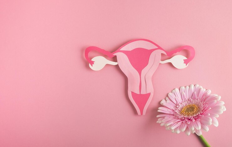 Foto conceito de sistema reprodutivo de saúde feminina modelo de útero e flor em fundo rosa