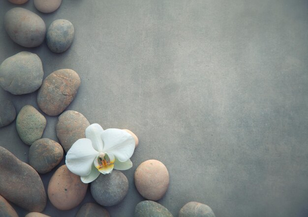 Foto conceito de spa com pedras de basalto e orquídea branca