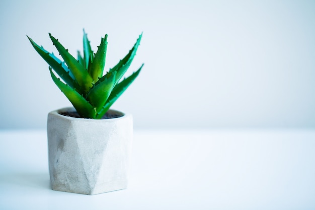 Foto conceito de spa, planta aloe vera na mesa no banheiro