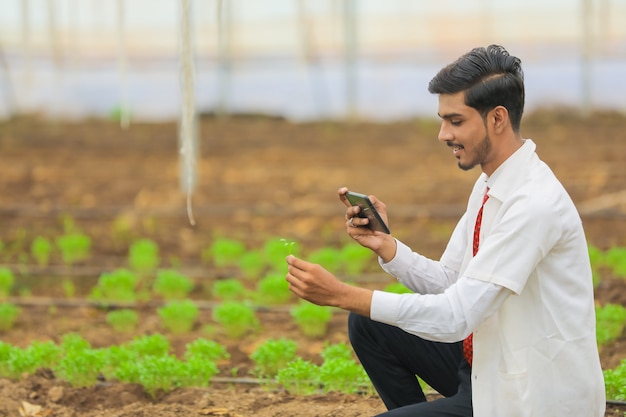 Conceito de tecnologia e pessoas, jovem agrônomo indiano com tablet em estufa