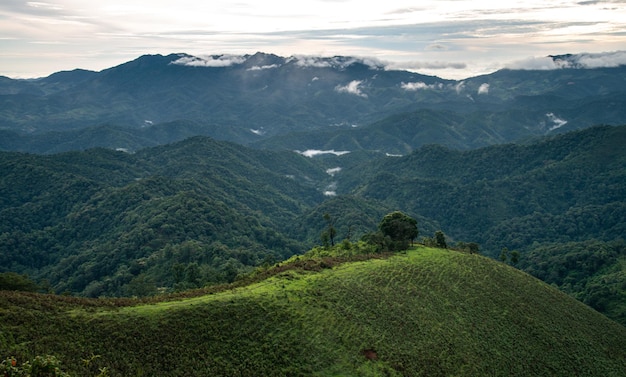 Conceito de viagem e acampamento. Barraca de acampamento na floresta