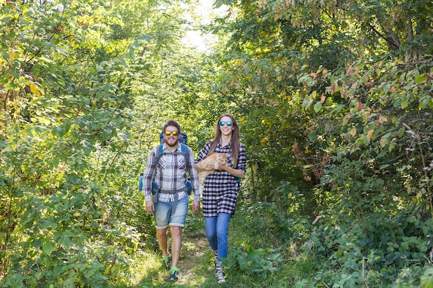 Conceito de viagens, aventuras, caminhada, turismo e natureza - casal de turistas com gato andando na floresta.