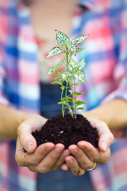 Conceito de vida - menina segurando uma planta jovem nas mãos