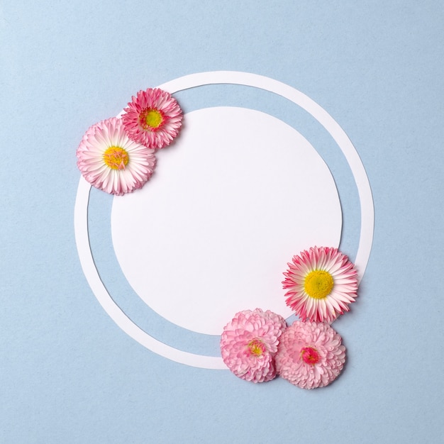 Conceito mínimo de natureza primavera. Flores cor de rosa e papel branco em forma de círculo