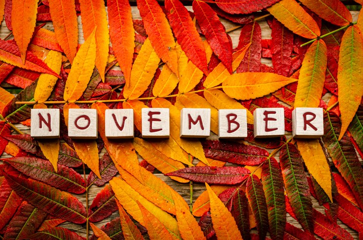 Foto conceito para o mês de novembro com folhas coloridas com texto em blocos de madeira brancos