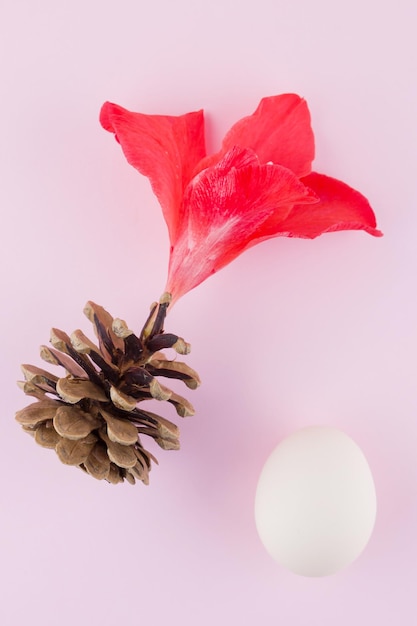 Conceito surrealista em fundo pastel Flor e ovo de gladiolus de cone de pinheiro Conceito criativo