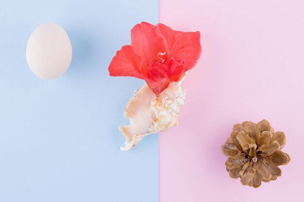 Conceito surrealista em fundo pastel Flores e ovos de gladiolus de conchas criativas