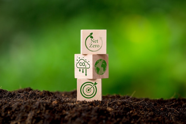 Conceito zero líquido e neutro em carbono Meta de emissões líquidas zero de gases de efeito estufa Estratégia de longo prazo neutra em relação ao clima Cubos de madeira com ícone verde zero líquido e ícone verde conserva no fundo da natureza