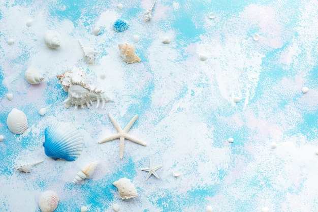 Conceitos de férias de verão com estrela do mar concha e decoração de praia em estilo abstrato de fundo. Ângulo de vista superior.