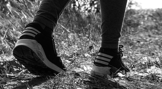 Foto conceitos para a perseguição, assédio sexual, violência contra a mulher. mulher assustada correndo pela floresta, sapatos fecham.