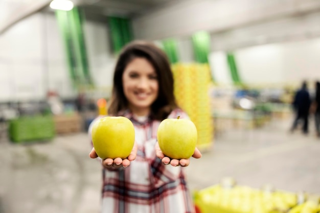 Concentración selectiva en las manzanas en manos de una trabajadora en el almacenamiento de una fábrica de frutas