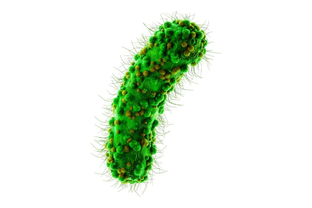 Concepto agentes infecciosos bacterias bacilos E coli parte del microbioma intestinal Imagen ampliada bajo el microscopio Representación 3D Ilustración 3D